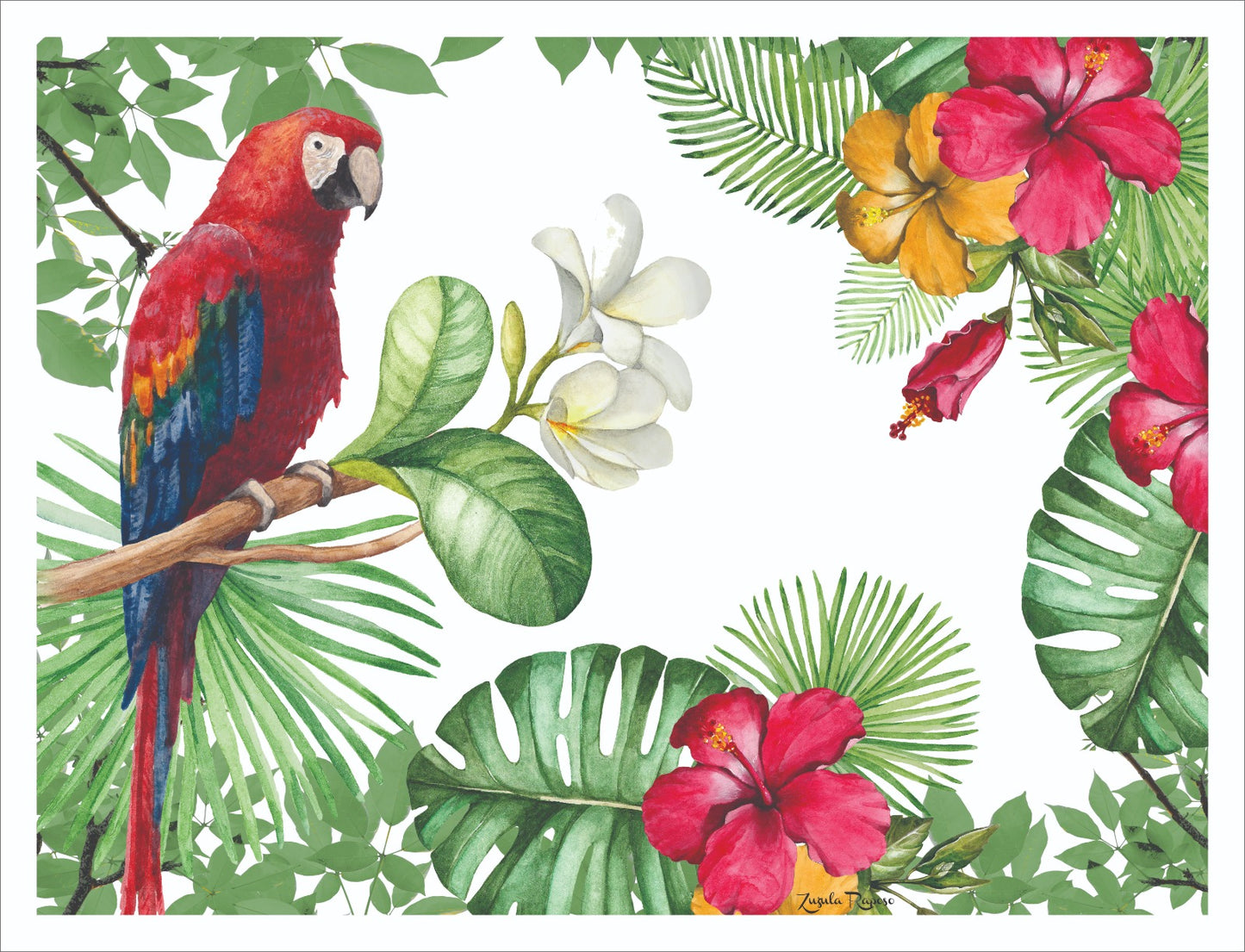 Americano Tropical Arara
